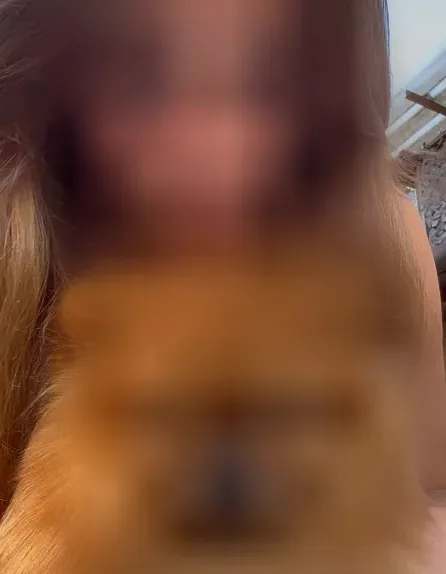 Elif, 40