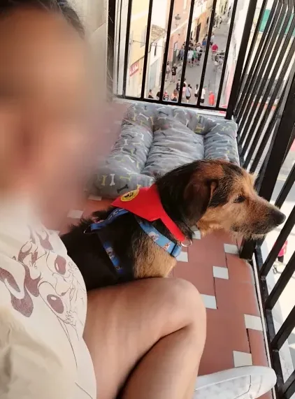 Elif, 28